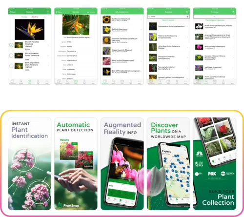 plantsnap screenshots plantsnap screenshots